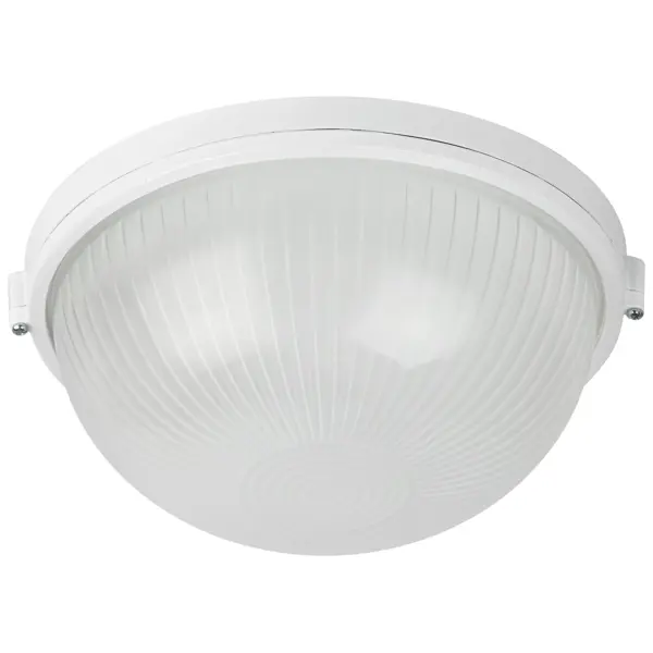 Светильник утилитарный настенно-потолочный влагозащищенный Эра НБП03-100-001 12 м² цвет белый