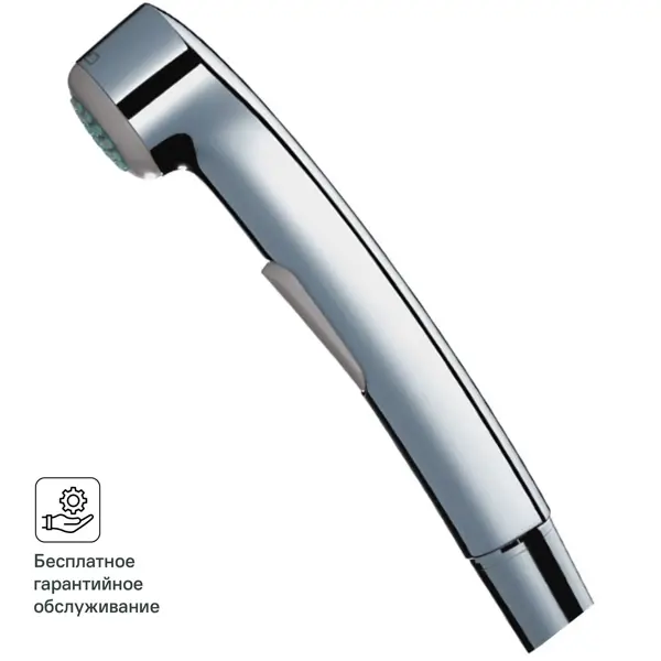 Лейка для душа гигиеническая Hansgrohe Team Compact 96907000 с держателем